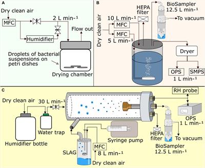 Effect of Aerosolization and Drying on the Viability of Pseudomonas syringae Cells